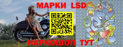 спиды Новодвинск