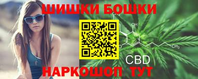 спиды Новодвинск