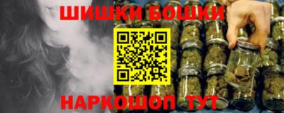 спиды Новодвинск