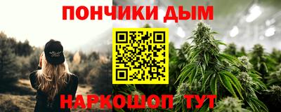 спиды Новодвинск