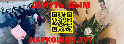 соль ск Новозыбков