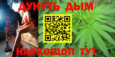 спиды Новодвинск