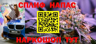спиды Новодвинск
