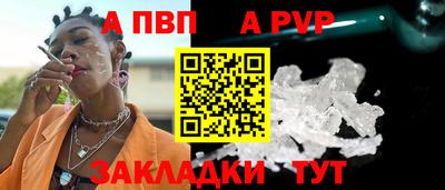 спиды Новодвинск