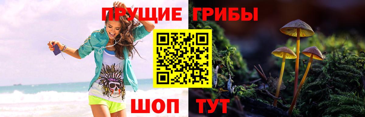 купить наркотики сайты  Вход с VPN  Салехард  Псилоцибиновые грибы Psilocybine cubensis 